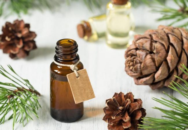 Best natural hair oils and butters for the wintertime (TOP 3)